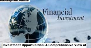 Investment Opportunities: A Comprehensive View of Finance and Investment